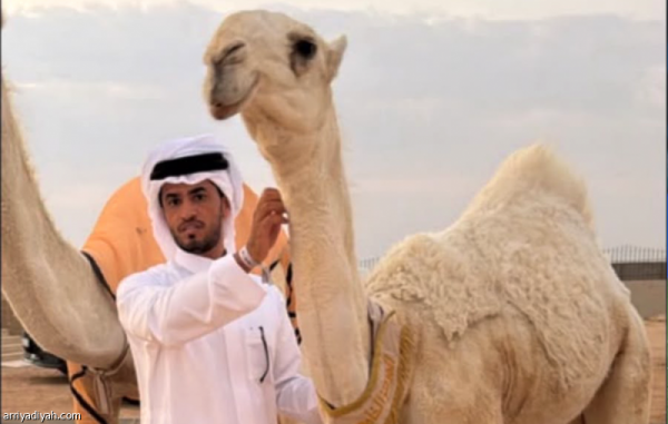 اليامي لـ الرياضية رفضت ملايين من أجل الناموس والصياهد هدفي