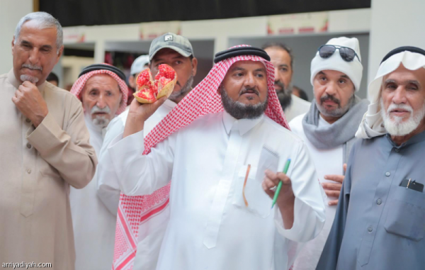 مهرجان الرمان دعم المزارعين وتسويق المنتجات