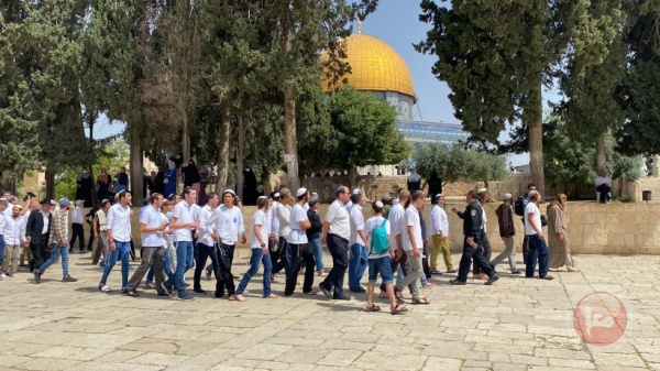 تحذيرات منظمات الهيكل تستعد لفرض أكبر اقتحام للمسجد الأقصى تحذيرات منظمات الهيكل تستعد لفرض أكبر اقتحام للمسجد الأقصى