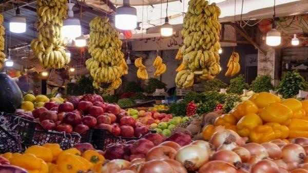 ارتفاع الصادرات الزراعية 14 خلال النصف الأول من 2026 ارتفاع الصادرات الزراعية 14 خلال النصف الأول من 2026