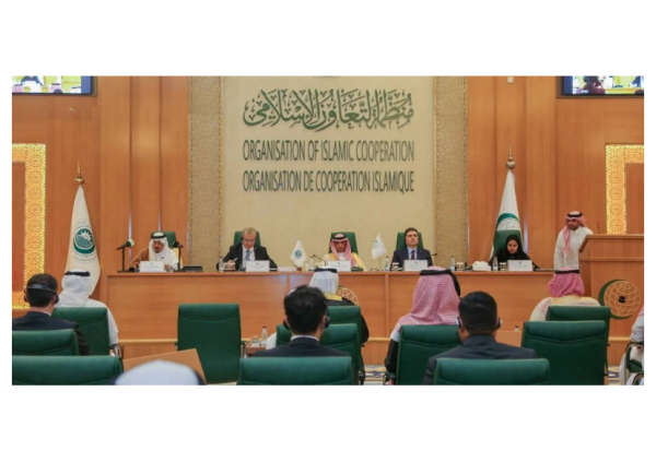إدانة إسلامية لتقويض الحوثيين مؤسسات الدولة اليمنية