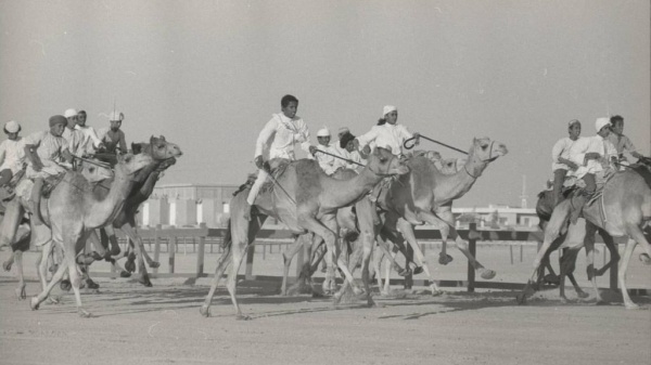 متحف زايد الوطني يوث ق 7000 عام من تاريخ الإبل متحف زايد الوطني يوث ق 7000 عام من تاريخ الإبل