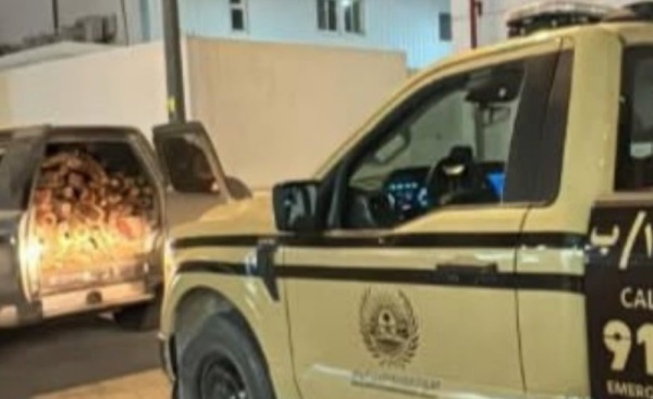 الأمن البيئي يضبط مخالف ا لنقل الحطب المحلي في منطقة الرياض