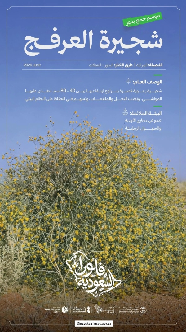 إطلاق موسم جمع وإكثار بذور العرفج لمكافحة التصحر بمناطق المملكة