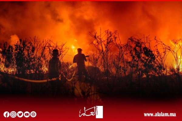 الوكالة الوطنية للمياه والغابات تحذر من ارتفاع خطر حرائق الغابات بعدد من أقاليم المملكة الوكالة الوطنية للمياه والغابات تحذر من ارتفاع خطر حرائق الغابات بعدد من أقاليم المملكة