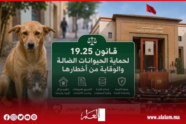 مجلس المستشارين يقر قانون حماية الحيوانات الضالة بالأغلبية إطار جديد لتعزيز السلامة العامة والرفق بالحيوان