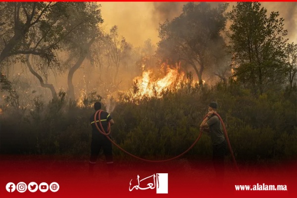 بعدما التهمت آلاف الهكتارات عودة حرائق الغابات تسائل نجاعة الخطة الوطنية المبكرة بعدما التهمت آلاف الهكتارات عودة حرائق الغابات تسائل نجاعة الخطة الوطنية المبكرة