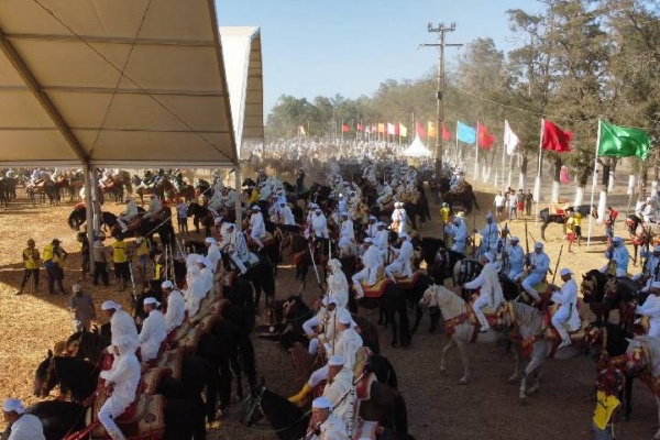 مهرجان زناتة للفروسية يلغي سهرة فنية بسبب حادث مفجع مهرجان زناتة للفروسية يلغي سهرة فنية بسبب حادث مفجع