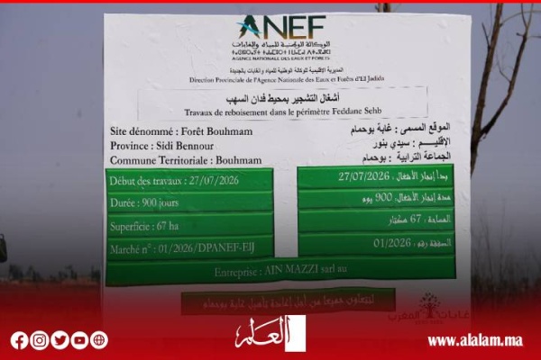 بعد سنوات من الإهمال انطلاق إعادة تشجير 67 هكتار ا بغابة بوحمام في سيدي بنور بعد سنوات من الإهمال انطلاق إعادة تشجير 67 هكتار ا بغابة بوحمام في سيدي بنور