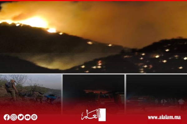 السلطات ومتطوعون ينجحون في إخماد حريق غابة أيت مصاد بتيموليلت