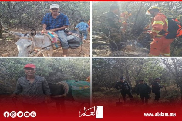 رغم الحرارة والرياح القوات العمومية ومتطوعو أفورار ينجحون في إخماد حرائق الغابات بإقليم أزيلال رغم الحرارة والرياح القوات العمومية ومتطوعو أفورار ينجحون في إخماد حرائق الغابات بإقليم أزيلال