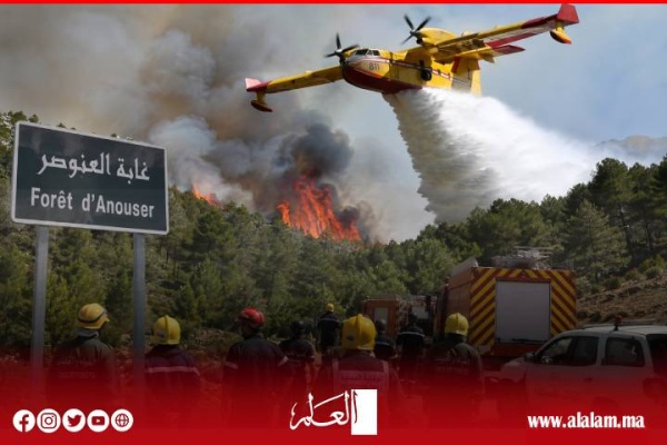 حريق غابة العنوصر بصفرو 3 طائرات كنادير تدعم جهود إخماد النيران لليوم الثاني