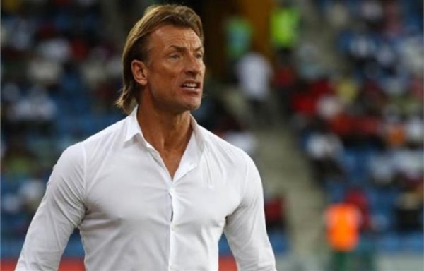 منتخب الفيلة يستعين بخدمات الثعلب الفرنسي هيرفي رونار منتخب الفيلة يستعين بخدمات الثعلب الفرنسي هيرفي رونار