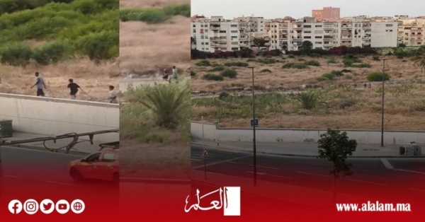 الدار البيضاء فيديو يزعم استدراج طفلة داخل مقبرة يقود الأمن إلى كشف الحقيقة الدار البيضاء فيديو يزعم استدراج طفلة داخل مقبرة يقود الأمن إلى كشف الحقيقة