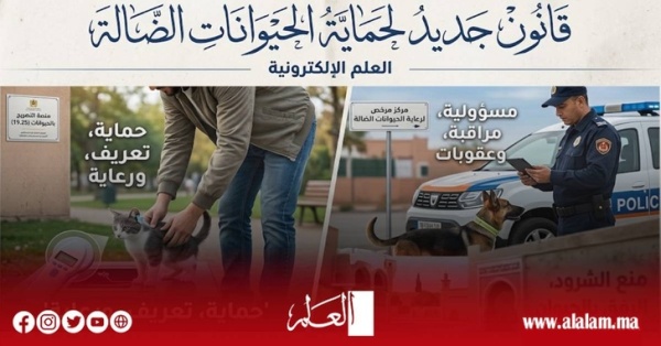 قانون الحيوانات الضالة يدخل حيز التنفيذ غرامات تصل إلى 30 مليون سنتيم وعقوبات حبسية للمخالفين قانون الحيوانات الضالة يدخل حيز التنفيذ غرامات تصل إلى 30 مليون سنتيم وعقوبات حبسية للمخالفين