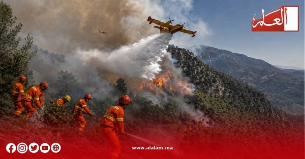 380 عنصرا يطوقون نيران تازاوت السيطرة على البؤر الرئيسية واستمرار معركة الإخماد بشفشاون 380 عنصرا يطوقون نيران تازاوت السيطرة على البؤر الرئيسية واستمرار معركة الإخماد بشفشاون