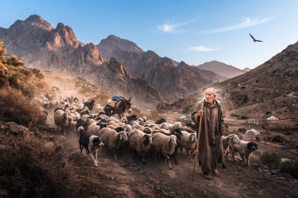 نداء وطني لاكتتاب بحوث علمية إيكولوجيا الرعي والانتجاع بالمغرب في مرآة الزمن والمجال نداء وطني لاكتتاب بحوث علمية إيكولوجيا الرعي والانتجاع بالمغرب في مرآة الزمن والمجال
