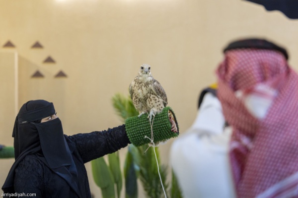 الصقور والصيد يتيح للزوار تجربة حمل ومناداة الطير