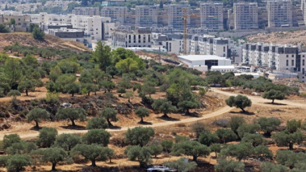الخارجية الأميركية ترامب أوضح أن واشنطن لا تؤيد ضم إسرائيل للضفة الغربية الخارجية الأميركية ترامب أوضح أن واشنطن لا تؤيد ضم إسرائيل للضفة الغربية