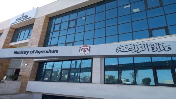 وزير الزراعة البترا عاصمة للزيتون الأردني لعام 2026 وزير الزراعة البترا عاصمة للزيتون الأردني لعام 2026
