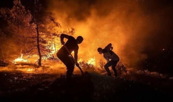 الجزائر تعلن وفاة 6 أشخاص جراء حرائق الغابات