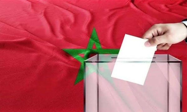 شناقة الانتخابات أفسدوا العملية قبل أن تبدأ شناقة الانتخابات أفسدوا العملية قبل أن تبدأ