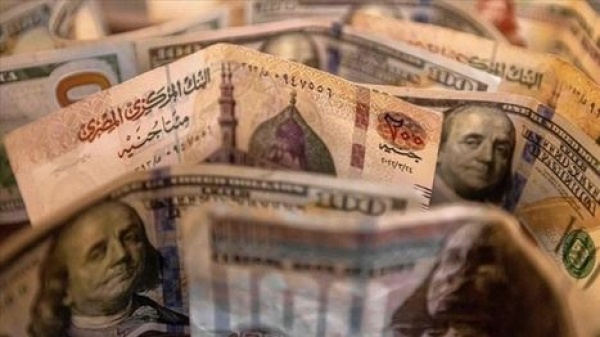 تحويلات المصريين تفوق الصادرات ودخل قناة السويس مطالبات بالإنصاف