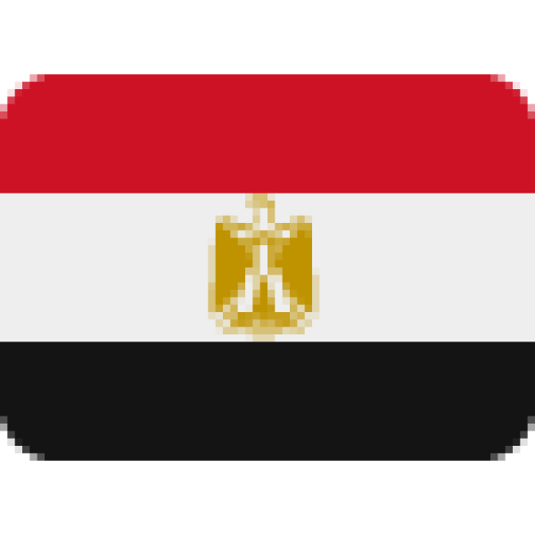 حتى لو كان ميسي في الملعب لماذا لا يتوقف المشجع المصري عن الإيمان بالفوز حتى لو كان ميسي في الملعب لماذا لا يتوقف المشجع المصري عن الإيمان بالفوز