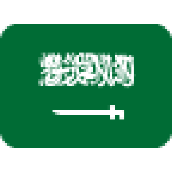 السعودية تلم شمل المقيمين من يحق له استقدام أسرته