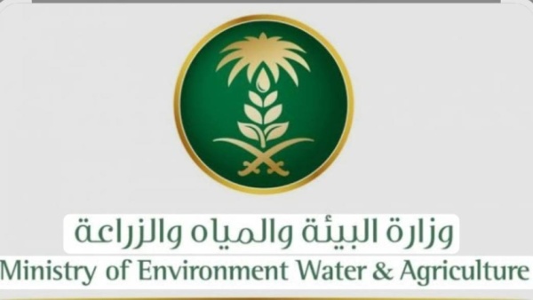 بيئة الشرقية اليوم العالمي للبيئة يجسد نداء عالميا للعمل المناخي وتعزيز الاستدامة