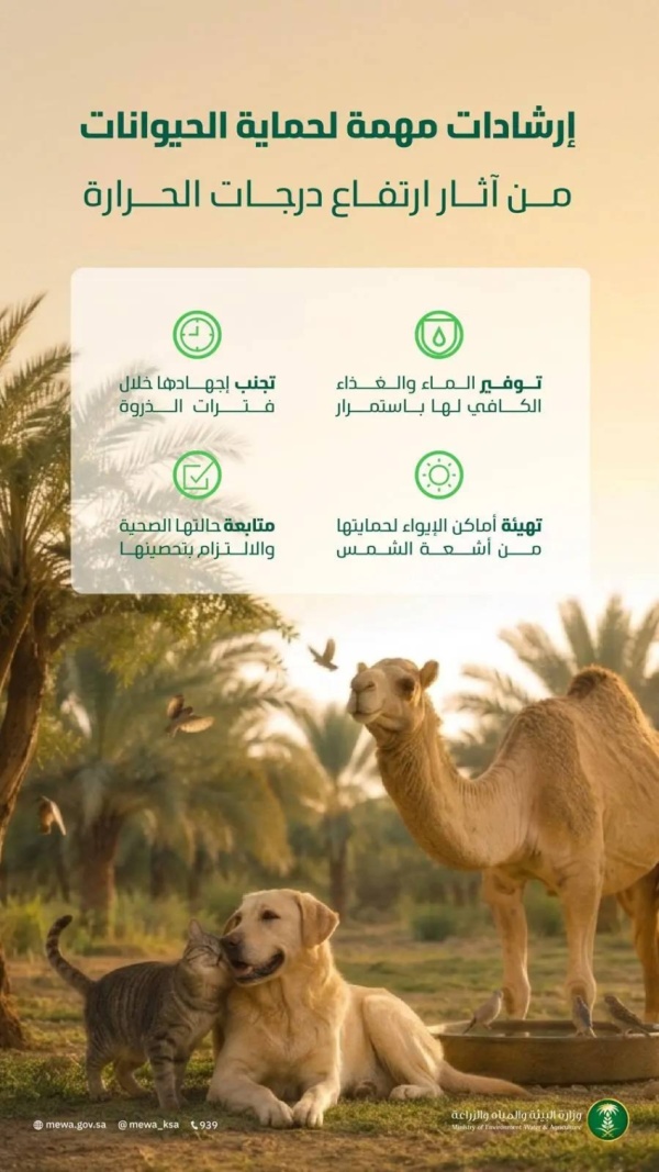 وزارة البيئة تشدد على تطبيق معايير الرفق بالحيوان لحمايتها من ارتفاع درجات الحرارة وزارة البيئة تشدد على تطبيق معايير الرفق بالحيوان لحمايتها من ارتفاع درجات الحرارة