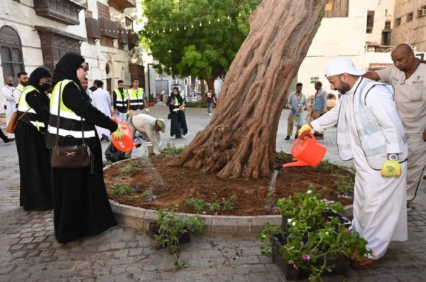 ضمن المرحلة الأولى بيئة مكة والثقافة تشجران جدة التاريخية ضمن المرحلة الأولى بيئة مكة والثقافة تشجران جدة التاريخية