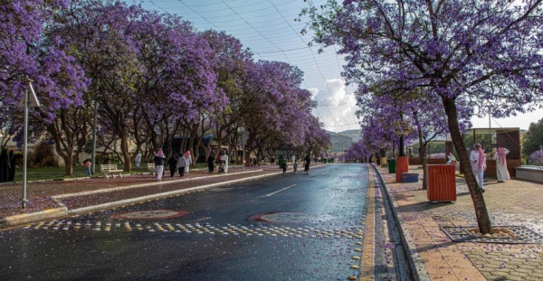 العمارة السعودية تدعم الاقتصاد بـ9 مليارات وتوفر 34 ألف وظيفة