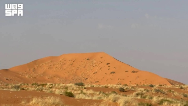 نفود الأشياخ قمة التقاء رمال الدهناء بالنفود الكبير نفود الأشياخ قمة التقاء رمال الدهناء بالنفود الكبير