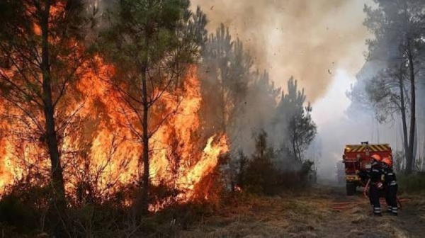 إجلاء 40 ألف شخص مع اقتراب حريق غابات في ولاية نيفادا الأمريكية إجلاء 40 ألف شخص مع اقتراب حريق غابات في ولاية نيفادا الأمريكية