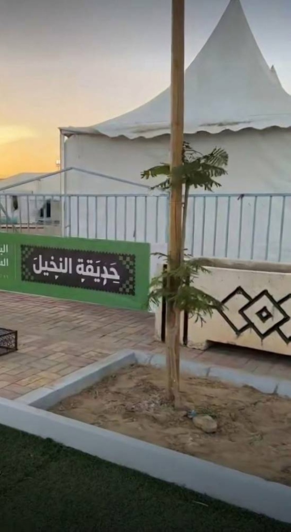 الخرمة ورنية تستعدان لموسم الشتاء بفعاليات ترفيهية ومهرجانات متنوعة الخرمة ورنية تستعدان لموسم الشتاء بفعاليات ترفيهية ومهرجانات متنوعة