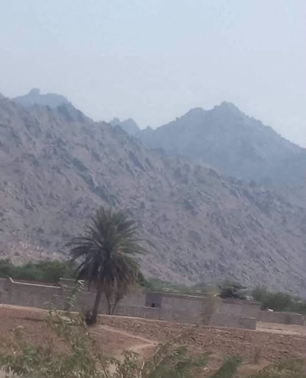 مذيع تهامي بقناة إصلاحية يكشف تطورات حيس