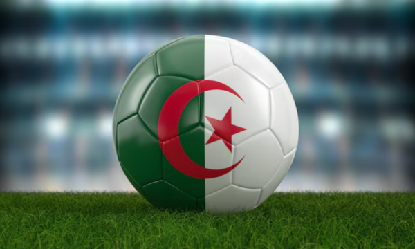 مليون يورو في كرة القدم الجزائرية مقابل السعودية من يشتري أكثر مليون يورو في كرة القدم الجزائرية مقابل السعودية من يشتري أكثر