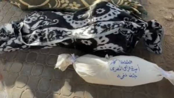الاحتلال يقتل عائلة كاملة في غزة أب وأم وأطفالهما الأربعة الاحتلال يقتل عائلة كاملة في غزة أب وأم وأطفالهما الأربعة