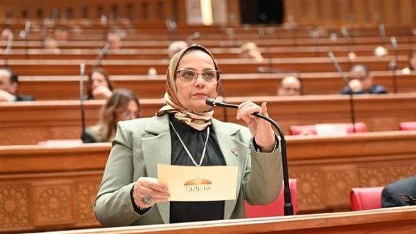 نجلاء العسيلي توجيهات الرئيس بتطوير الحماية الاجتماعية تعكس انحياز الدولة للمواطن