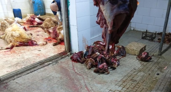 إقفال مسلخ غير مرخ ص في وطى المصيطبة بالشمع الأحمر إقفال مسلخ غير مرخ ص في وطى المصيطبة بالشمع الأحمر