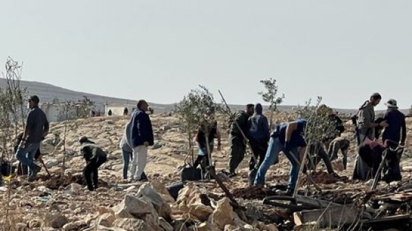 هجمات المستوطنين تتصاعد إصابة طفلين فلسطينيين باعتداء في نابلس هجمات المستوطنين تتصاعد إصابة طفلين فلسطينيين باعتداء في نابلس