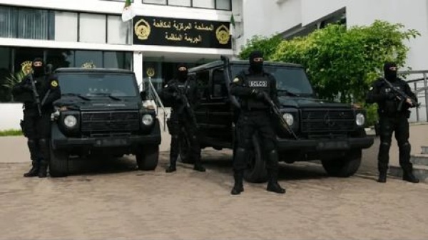 الجزائر تطيح بشبكة تهريب كب دت قطاع التبغ خسائر كبيرة ما علاقة الإمارات الجزائر تطيح بشبكة تهريب كب دت قطاع التبغ خسائر كبيرة ما علاقة الإمارات