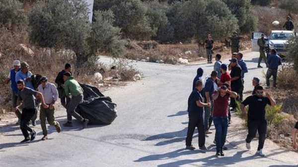 احتجاز مرشح أمريكي للكونغرس خلال قطف الزيتون مع فلسطينيين بالضفة الغربية