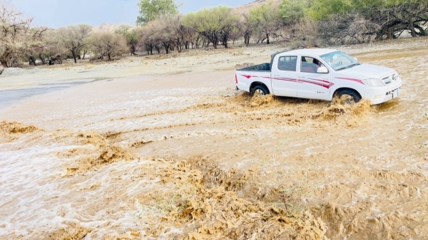 أمطار رعدية