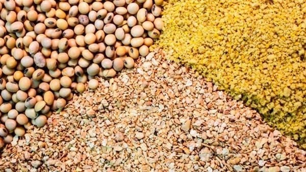 الزراعة تسجيل 399 مركزات أعلاف وإصدار 368 ترخيص ا لمشروعات الثروة الحيوانية الزراعة تسجيل 399 مركزات أعلاف وإصدار 368 ترخيص ا لمشروعات الثروة الحيوانية