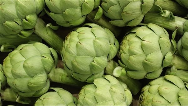 الخرشوف كنز غذائي بفوائد صحية مذهلة