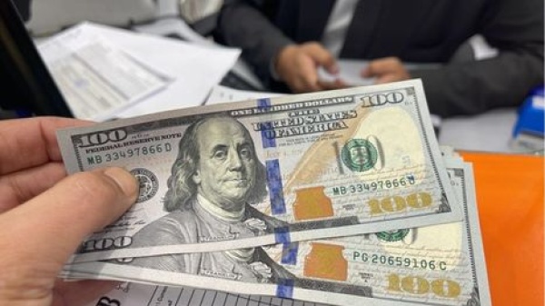 استقرار الدولار أمام الجنيه المصري تعرف على أسعار الصرف استقرار الدولار أمام الجنيه المصري تعرف على أسعار الصرف