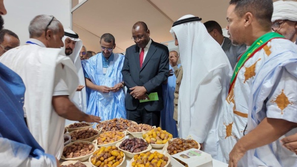مهرجان التمور في أطار يركز على تطوير الإنتاج والتصنيع وفتح أسواق جديدة