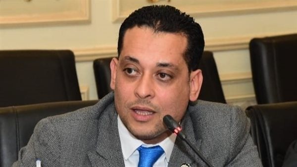 برلماني تخصيص 6 ملايين كرتونة غذائية للفئات الأكثر احتياجا نجاح هائل للمجتمع المدني